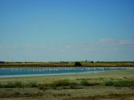 Laguna Larga (Villacañas)